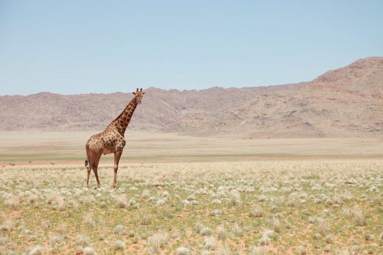 Traveling well: how to spend money where it matters